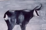Jagdvereinigung Hubertusjünger
